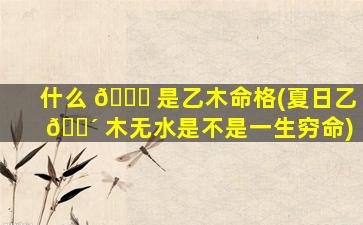 什么 🐘 是乙木命格(夏日乙 🌴 木无水是不是一生穷命)